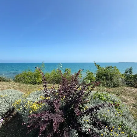 Sineva Del Sol アパートホテル