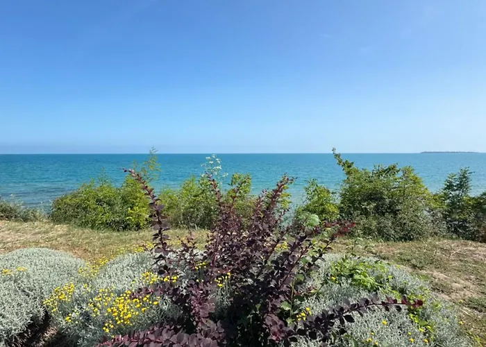 Sineva Del Sol Aparthotel